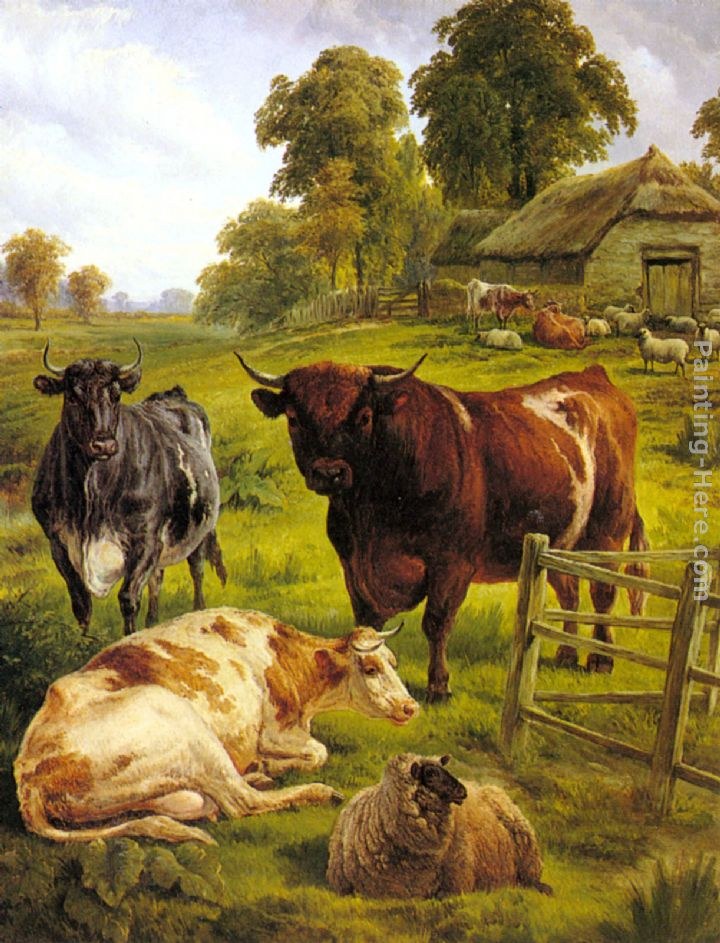 Charles Jones A Pedigree Bull